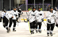 EISHOCKEY