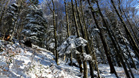 Landschaften