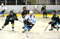 EISHOCKEY