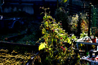 Landschaft
