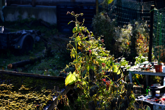 Landschaft