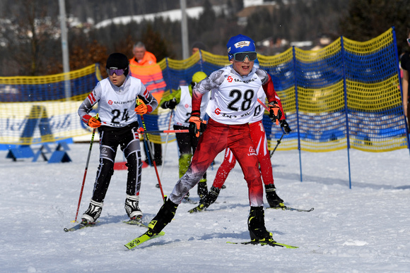 Sport