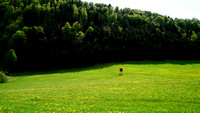 Salzburg-Land-Ansichten