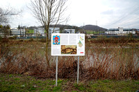 LAUXFOTO02502327_0024