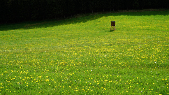 Salzburg-Land-Ansichten