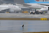 Salzburg-Airport