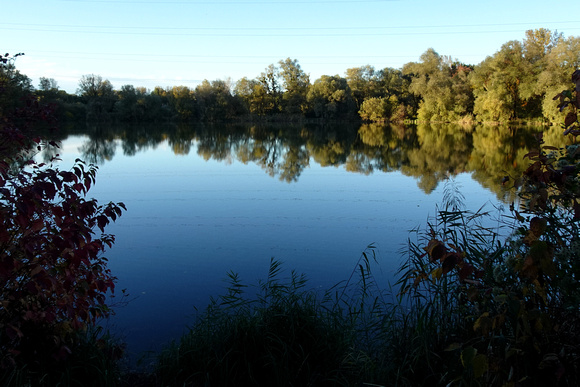 HERBSTSPAZIERGANG