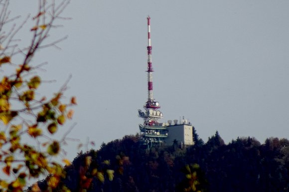 HERBSTSPAZIERGANG