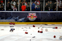 Eishockeyfinale 2013/14