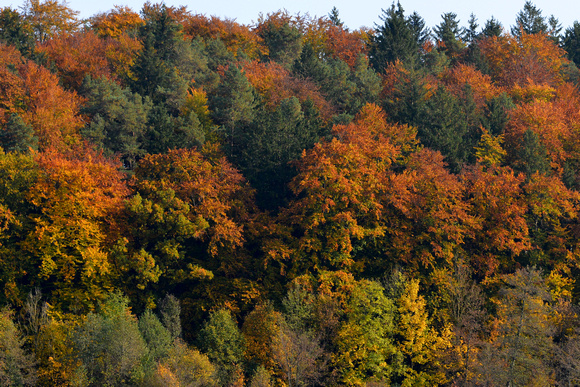 Landschaft