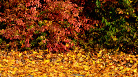 Landschaft