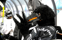 EISHOCKEY