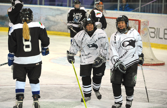 EISHOCKEY
