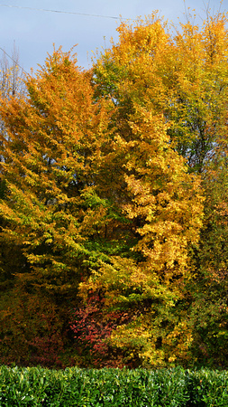 Landschaft