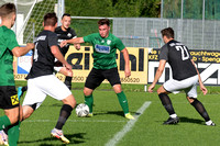 SFV-Unterhausfußball