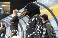 EISHOCKEY