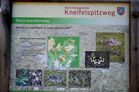 LAUXFOTO20241227_0010