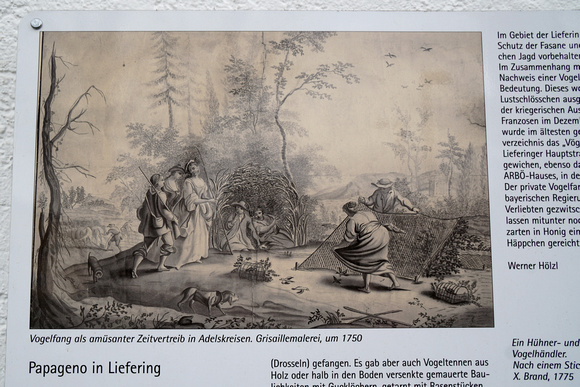 LAUXFOTO02502327_0008