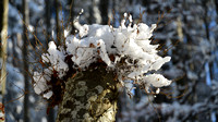 Landschaften