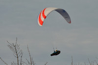 LAUXFOTO20250224_0004