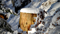 Landschaften