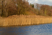 Landschaften